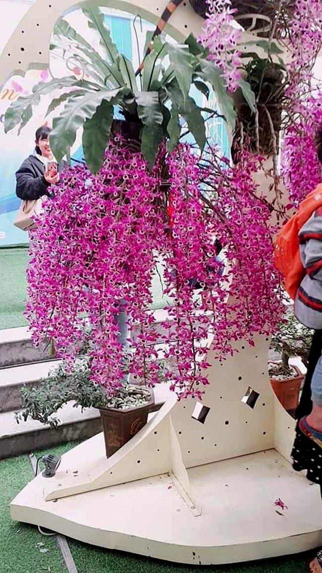 Một trong những tác phẩm mang tên “suối hoa” được trưng bày tại triển lãm. Tác phẩm được đánh giá rất cao cả về nghệ thuật và giá trị.