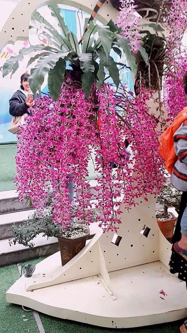 Một trong những tác phẩm mang tên “suối hoa” được trưng bày tại triển lãm. Tác phẩm được đánh giá rất cao cả về nghệ thuật và giá trị.