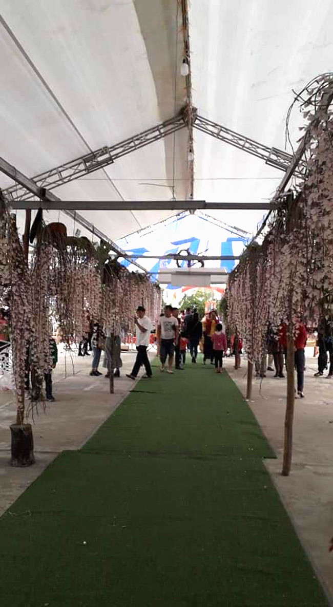 3 năm trở lại đây, cứ vào cuối tháng 3, những người đam mê phong lan rừng ở Lai Châu lại tổ chức triển lãm lan.