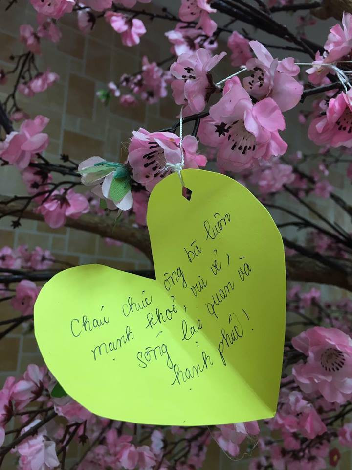 Nickname Minh Quân có chia sẻ ý kiến rằng: "Đọc xong bài viết của bạn này, mình nhớ đến bà ngoại. Ngày xưa bà ở với dì không được vui bởi sự cô đơn khi cả nhà đi hết còn mình bà ở nhà. Bà đòi vào trại dưỡng lão, bà vào đó có nhiều bạn hơn, có người trò chuyện và giờ thì có mời bà cũng không về".