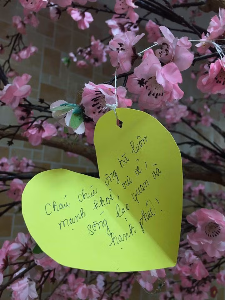 Nickname Minh Quân có chia sẻ ý kiến rằng: "Đọc xong bài viết của bạn này, mình nhớ đến bà ngoại. Ngày xưa bà ở với dì không được vui bởi sự cô đơn khi cả nhà đi hết còn mình bà ở nhà. Bà đòi vào trại dưỡng lão, bà vào đó có nhiều bạn hơn, có người trò chuyện và giờ thì có mời bà cũng không về".