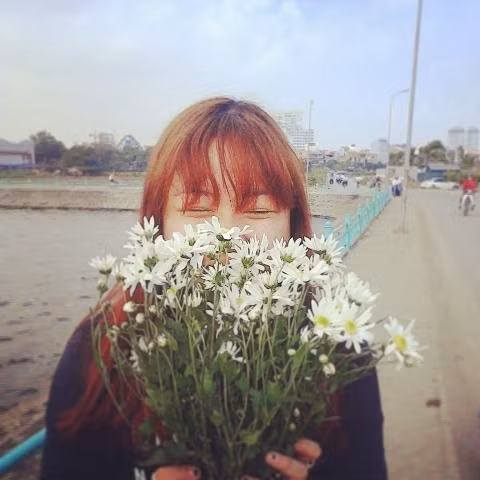 Ngoài việc săn cúc họa mi trên những con phố, các bạn trẻ còn tìm tới tận vườn trong loài hoa này để được đắm chìm một khung cảnh tuyệt đẹp mà loài hoa này tạo ra.