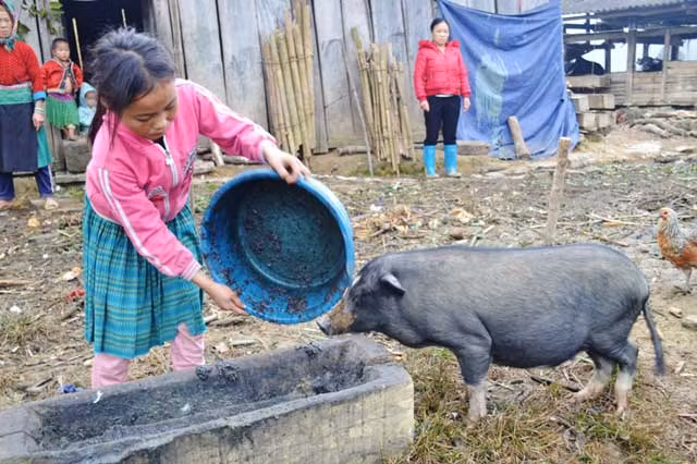 Cuộc sống khó khăn, ít được tiếp xúc với thế giới bên ngoài nên những đứa con của ông Ve vẫn còn tỏ ra sợ sệt khi gặp người lạ.