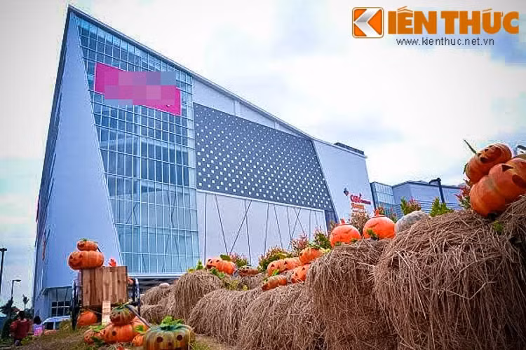 Khi đến vườn bí ngô Bình Tân, được dựng lại như một ngôi làng thu nhỏ, bạn trẻ như lạc vào không gian đầy bí ẩn.