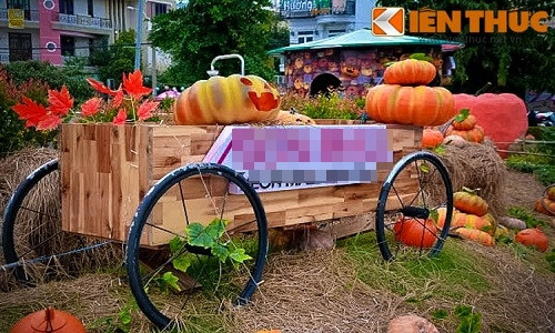 Khung cảnh ban ngày ở đây khá xinh xắn, đến để chụp ảnh quả là không bao giờ chán.