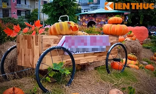 Khung cảnh ban ngày ở đây khá xinh xắn, đến để chụp ảnh quả là không bao giờ chán.