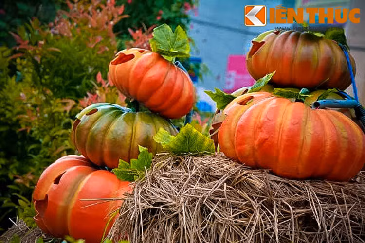 Khu vườn với những quả bí ngô khổng lồ này nằm trong khuôn viên trung tâm thương mại lớn ở khu vực Bình Tân.