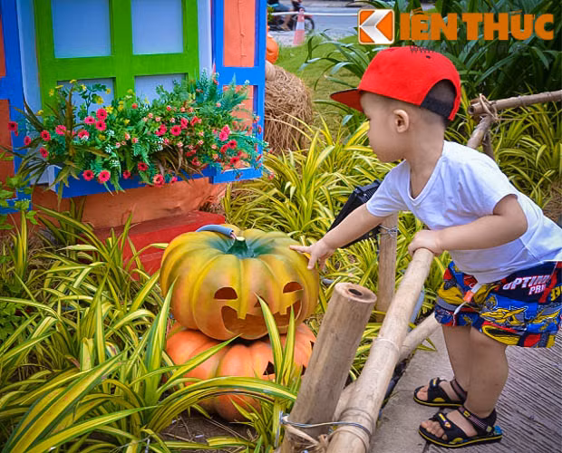 Những nhóc tỳ khá hứng khởi với vườn bí ngô đặc biệt này khi được bố mẹ đưa tới đây.