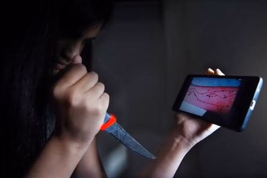 Dan mang noi gi ve thu thach “Ca voi xanh” lay lan tai Viet Nam