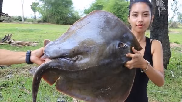 Nhà chức trách Campuchia đính chính dư luận rằng chỉ có loài mèo cá đang trên bờ vực tuyệt chủng, các loài còn lại rơi vào tay Ah Lin nấu như thằn lằn hay một số loài chim nằm trong danh sách được bảo vệ gắt gao.