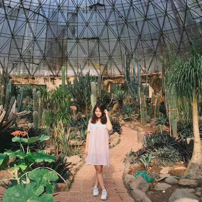 Nếu bạn chưa một lần tới Ba Vì thì quả thật phí hoài bởi nơi đây sẽ cho bạn nhiều cảm nhận thú vị về cuộc sống.