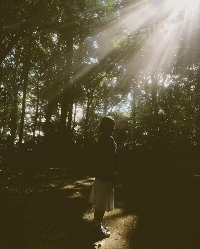 Tiếp đó, trong chuyến hành trình tới Ba Vì, nếu đi vào tháng tư hoặc tháng mười thì các bạn sẽ được ngắm cung đường vàng với những cành hoa dã quỳ cực đẹp mọc quanh đường cực đẹp. Ngoài ra, các bạn cũng có thể thăm đền Thượng thờ phụng thánh Tản Viên với đỉnh Mẫu bên trên, một nơi thờ niệm Bác Hồ, cả hai đều có lối bậc thang dẫn lên khá dễ đi, tuy nhiên phải chuẩn bị tinh thần vì đường dốc và leo hơi nhiều. Ảnh: La Hoang