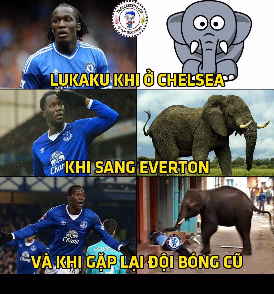 Lukaku là người cũ Chelsea và trong trận đấu cuối tuần qua cũng chính anh là người hạ sát đội bóng cũ.