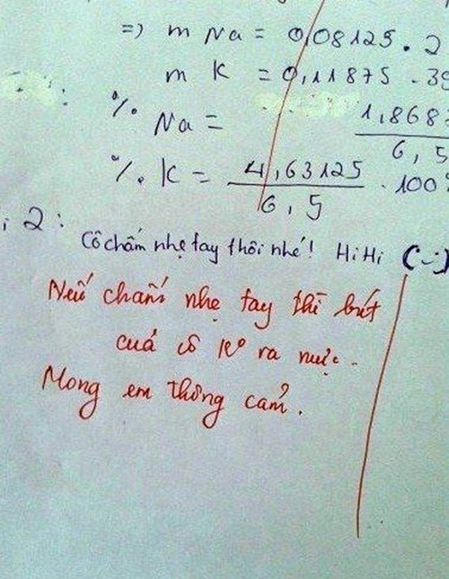 Còn nickname C.C.L chia sẻ: "Mỗi lần đọc những lời phê này, mình lại đau tim vì không biết hôm nay các thầy, cô sẽ nói gì về bài kiểm tra của mình. Nhưng đến bây giờ, ra trường hơn 10 năm rồi nhưng mỗi lần có dịp dở lại tập bài kiểm tra mình vẫn tủm tỉm cười".