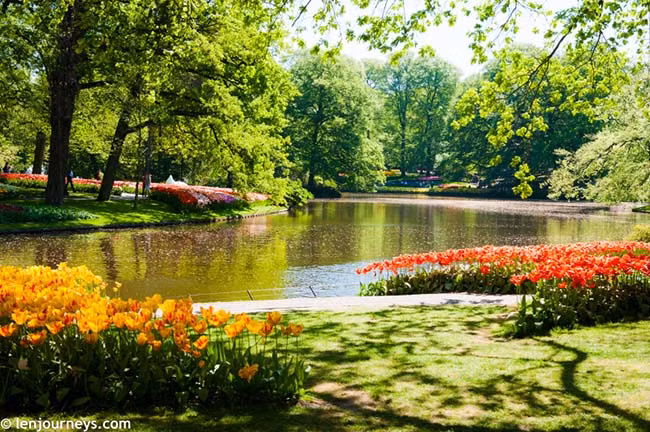Với khoảng 7 triệu đóa hoa, Keukenhof được mệnh danh là khu vườn của châu Âu. Nó là một trong những địa điểm du lịch hấp dẫn nhất Hà Lan và được đánh giá là khu vườn đẹp nhất hành tinh. Mở cửa từ giữa tháng 3 đến giữa tháng 5, Keukenhof thu hút khoảng 800.000 du khách mỗi năm.