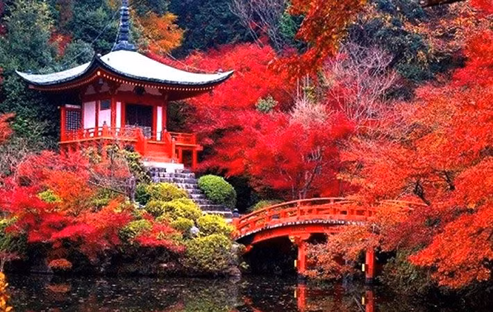 Trân Châu Than là thác nước ngọc trai, ngọn thác hoang dã nhất trong 17 thác nước của Cửu Trại Câu, đây là điểm hội tụ của những dòng suối, hồ nước trên dãy núi cao 2.700m. Với vị trí nằm ngay trước cánh rừng nguyên sinh với những thảm lá đã chuyển sang màu đỏ và vàng rực rỡ, thác nước này là nơi lý tưởng để du khách thả bộ và ngắm nhìn thỏ, sóc chạy xung quanh.