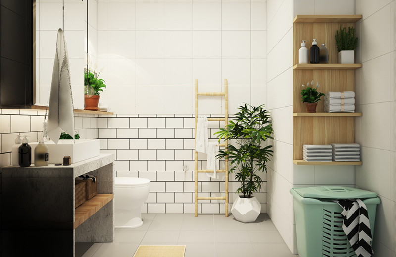 Cây trồng giúp phòng tắm không bị bám mùi và có màu sắc tương tự với giỏ đựng đồ.