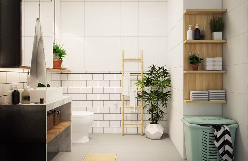 Cây trồng giúp phòng tắm không bị bám mùi và có màu sắc tương tự với giỏ đựng đồ.