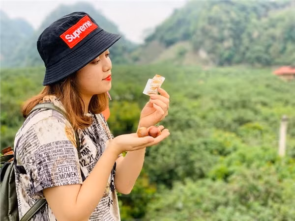 Lại một mùa mận về trên khắp những thung lũng, cao nguyên xa xôi vùng Tây Bắc, Đông Bắc. Ai đã từng ghé qua Mộc Châu, Sơn La vào những ngày này hẳn sẽ hiểu cảm giác háo hức trong lòng.