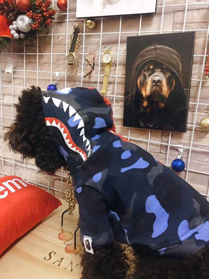 Thời trang cho chó mèo ngày nay khá đa dạng với các thiết kế sành điệu không thua gì sản phẩm quần áo của con người.