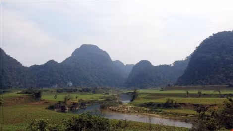 Tối cùng ngày, UBND tỉnh Quảng Bình mở tiệc chiêu đãi lãnh đạo đoàn phim tại Oxalis home để bày tỏ sự trọng thị với hãng làm phim “Kong: Skull Island” có các cảnh quay tại địa phương này. Thành phần mời hạn chế và không có mặt báo chí. Truyền thông được thông báo đây là cuộc mời riêng tư và theo yêu cầu không đưa báo chí vào để có không gian riêng.