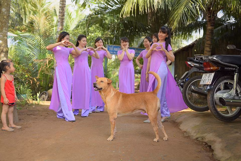 Đến lúc chụp ảnh lưu niệm, chú thú cưng càng tỏ rõ sự lỳ lợm đến khó chịu của mình, quyết không cho hai bên có những bức ảnh đẹp.