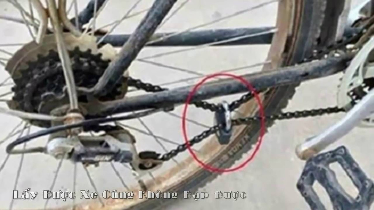 Cứ đi như vậy thật chẳng an tâm chút nào và để đề phòng trộm cắp, người chủ đã xích luôn bánh xe với cột đèn đường.