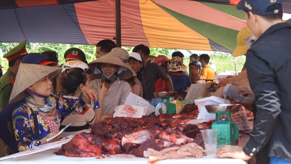 Choi trau Do Son 2019: 2 trieu dong cho 1kg thit trau choi