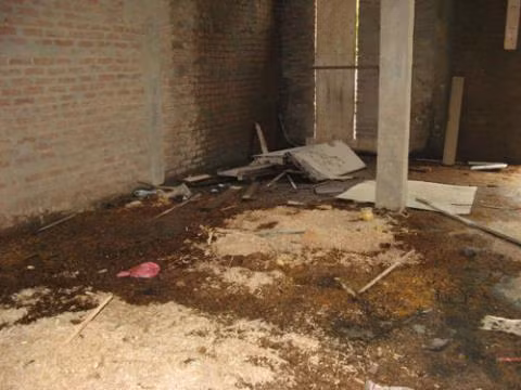 Tuy nhiên, nhiều căn biệt thự bỏ hoang, ngoài việc cỏ mọc um tùm thì hiện còn là bãi đáp cho các đối tượng nghiện ma túy chích hút, bơm kim tiêm ngổn ngang khắp sàn nhà.