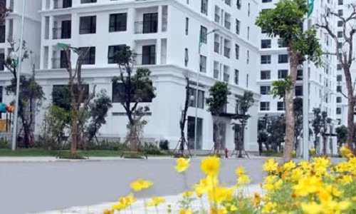 Ha Noi se thue chung cu Royal City cho dan tam cu