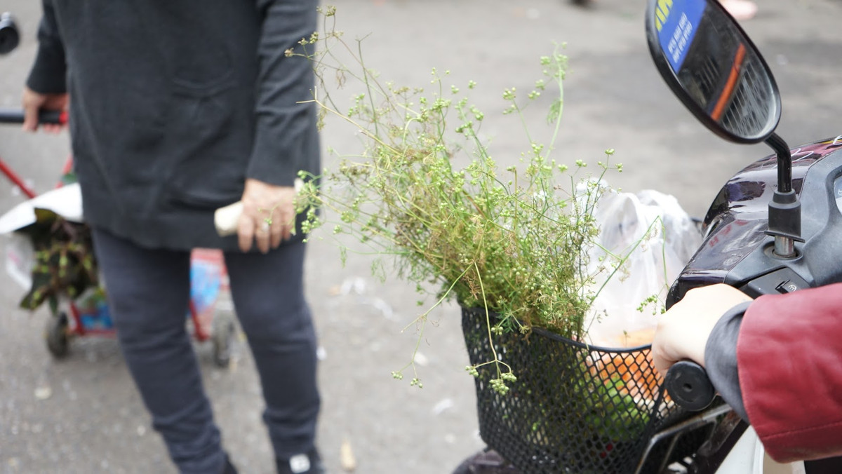 Ngoài ý nghĩa truyền thống, tắm nước lá mùi sẽ mang lại cảm giác thoải mái, dễ chịu. Bên cạnh đó, rau mùi còn có tác dụng giảm đau nhức nửa đầu, căng thẳng.