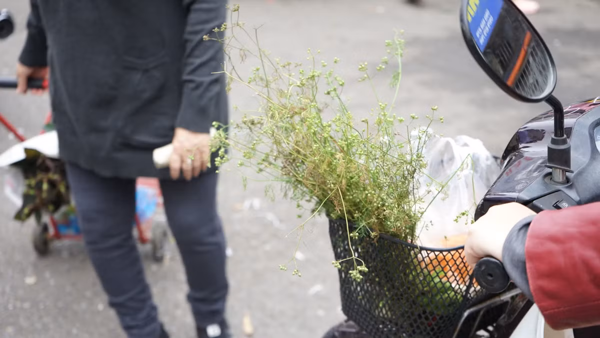 Ngoài ý nghĩa truyền thống, tắm nước lá mùi sẽ mang lại cảm giác thoải mái, dễ chịu. Bên cạnh đó, rau mùi còn có tác dụng giảm đau nhức nửa đầu, căng thẳng.