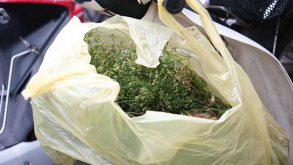 Bên cạnh dùng để tắm, nhiều người còn mua lá mùi về đun ngày tất niên để xông nhà, cầu mong tài lộc trong năm mới.