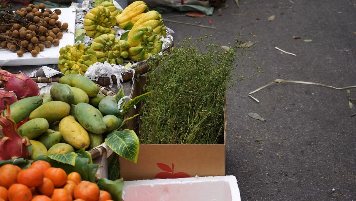 Giá rau mùi được bán dao động từ 20.000 - 45.000 đồng/bó.