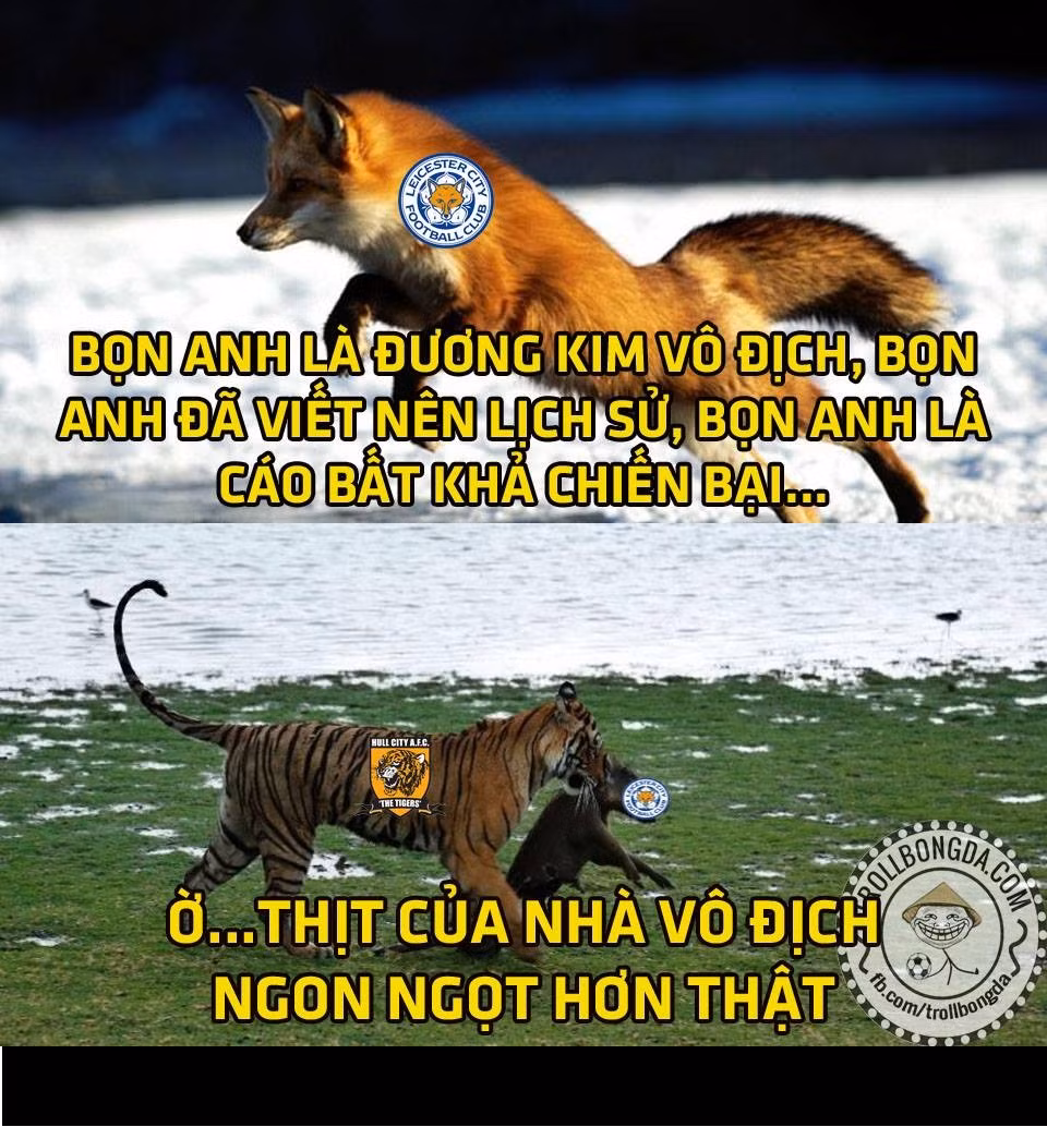 Thế nhưng, họ đã phải nhận trận thua cay đắng trước đội mới lên hạng là Hull City.