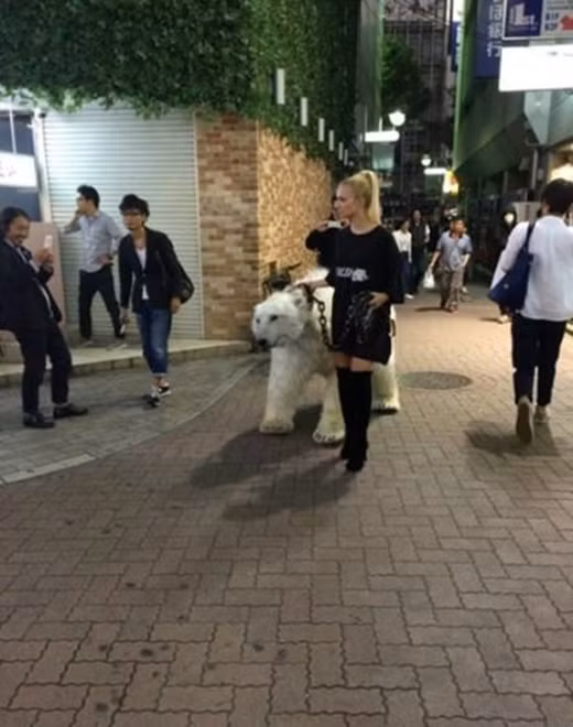 Cô gái trẻ trong ảnh từng xuất hiện trên rất nhiều trang mạng quốc tế khi dắt gấu Bắc cực xuống phố.