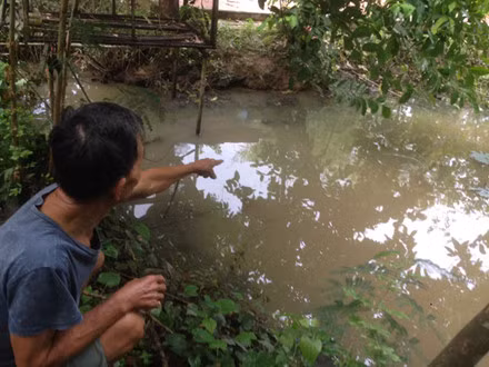 Ao nước nơi Trọng ném con. Ao nước nơi Trọng ném con.