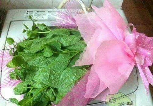 Bó hoa làm bằng rau mùng tơi không chỉ mang vẻ đẹp mà còn được sử dụng ngay trong bữa cơm nhà nàng.