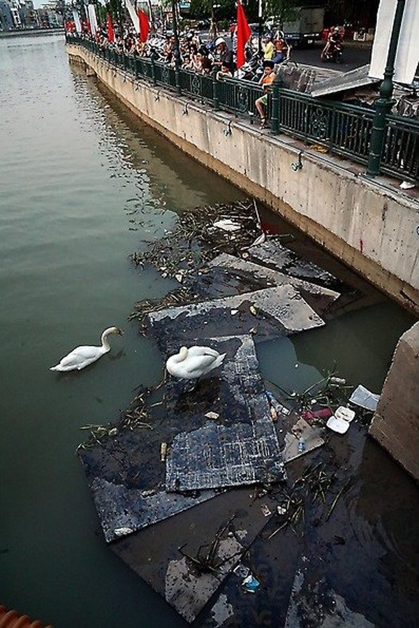 Những chiếc bánh mỳ sau khi được vứt xuống nổi đầy trên mặt nước khiến nhiều người cảm thấy bức xúc.