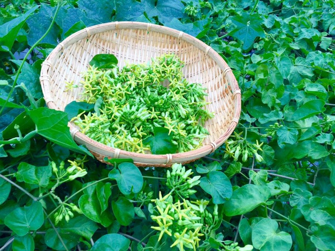 Tổng diện tích được sử dụng để trồng trọt ở các tầng trong nhà chị Hiền khoảng 200 m2.