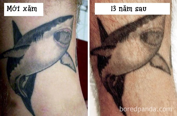 Hình xăm cá mập oai hùng ngày nào giờ đã "già nua" theo năm tháng.