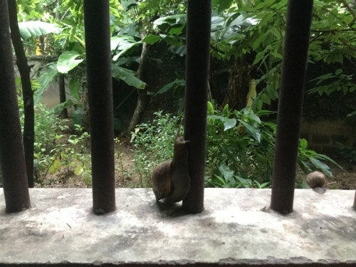 Cùng đi "du lịch" với cô nàng này qua loạt "ảnh phóng sự" được PV chọn lọc ra, để xem có điều gì đặc biệt trong cuộc sống của cô sinh viên này. "Mình về nhà ở vùng nông thôn nghỉ hè sau một năm học đại học trên Hà Nội. Mình dậy từ lúc 5h30 sáng. Ở vùng quê Việt Nam hầu như mọi người đều như vậy. Họ phải đi làm ruộng từ sớm để tránh nắng... Dậy đi quanh nhà thì thấy hai con sên. Không biết nó định leo lên đâu?