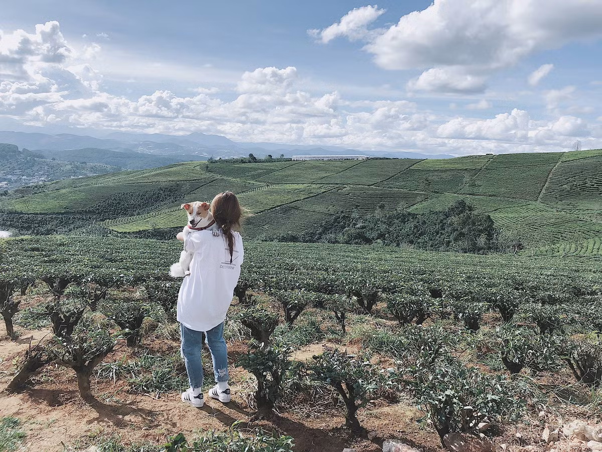 "Bất tiện khi đi phượt có thú cưng là bọn mình phải tìm chỗ ngủ cho phép chó ở cùng trong suốt chặng đường di chuyển. Mình dùng lồng để Bon nằm được, vừa thoải mái lái xe, mà Bon cũng không mệt lắm. Trước đây mình có đi xa bằng Vespa cùng Bon 2-3 chuyến. Đợt này có thêm bạn gái". Minh Trúc chia sẻ thêm.
