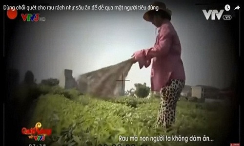 Choi quet rau: “Cay choi than co… doc“