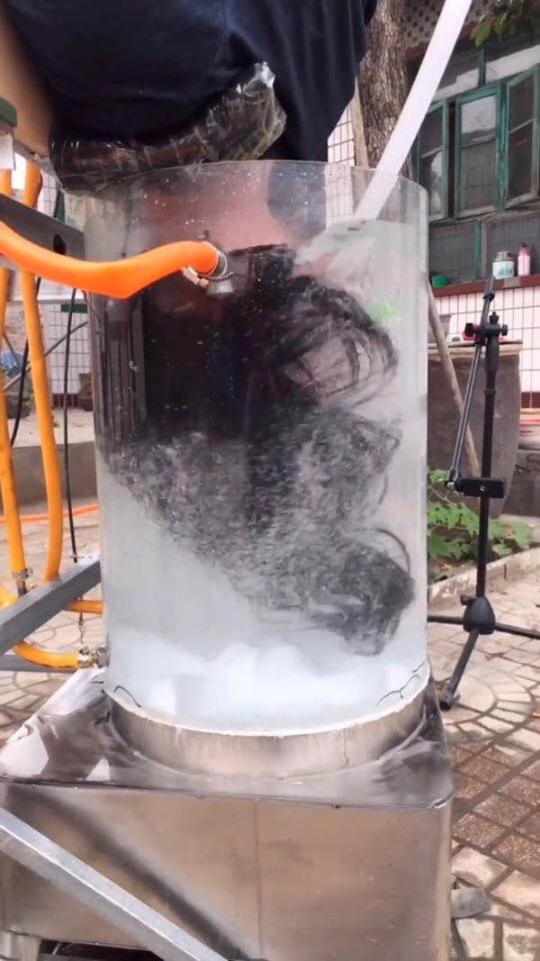 Ngay sau khi đoạn video giới thiệu thiết bị gội đầu của Cảnh Soái được phát đi, không chỉ tại Trung Quốc mà ngay cả dân mạng Việt cũng xôn xao và để lại nhiều bình luận tranh cãi.