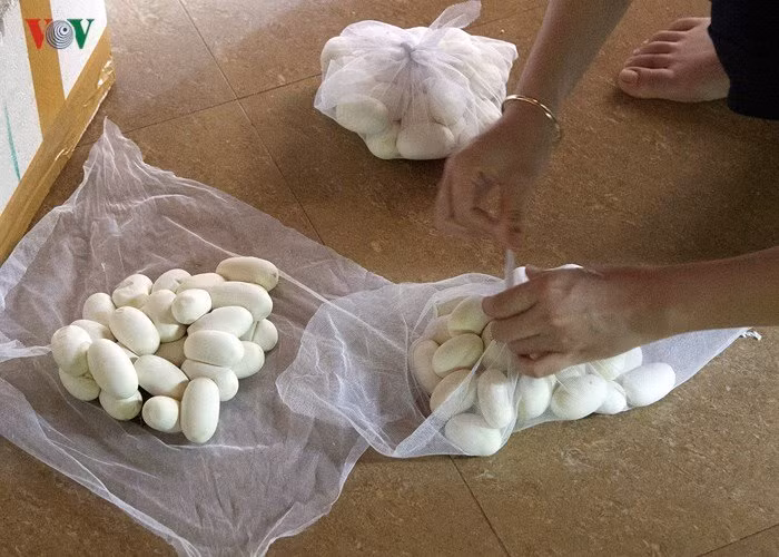 Việc tiêu thụ rắn thịt khá thuận lợi do nhu cầu thị trường lớn. Không chỉ bán trong nước, mỗi năm xã xuất khẩu khoảng 150-200 tấn rắn thương phẩm sang thị trường châu Á, chủ yếu là Trung Quốc.