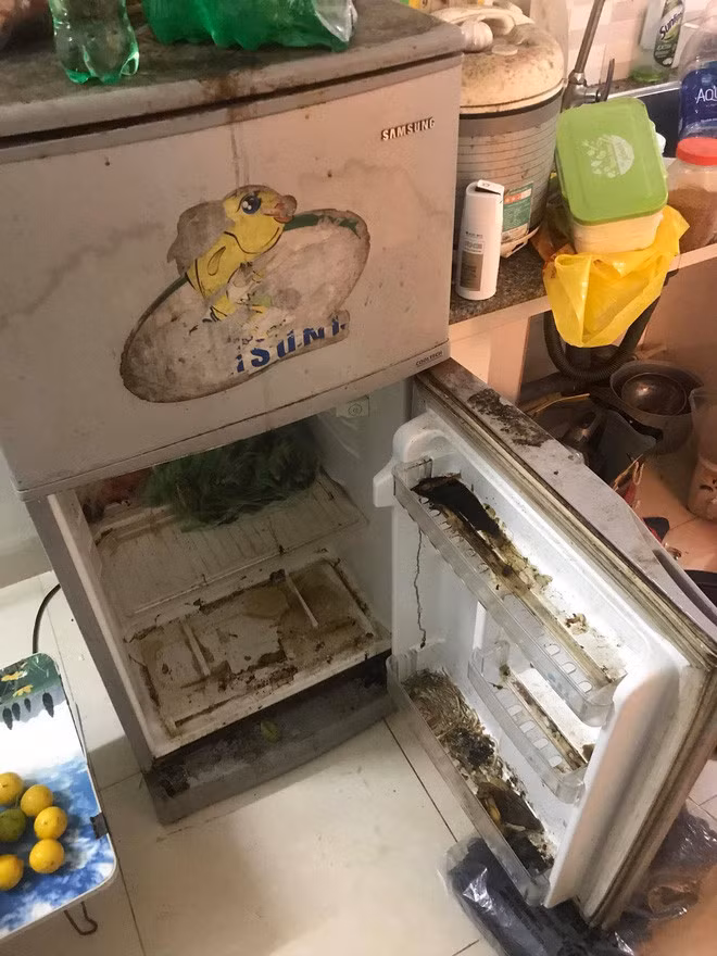 Có thể khi bước ra đường, ai cũng trông thấy bộ mặt phấn son lồng lộn, áo quần xúng xính nhưng khi về phòng trọ, người bạn cùng phòng kia chẳng bao giờ chịu động tay vào việc dọn dẹp, lau chùi và giặt giữ đều đã được các bạn trẻ đăng tải.