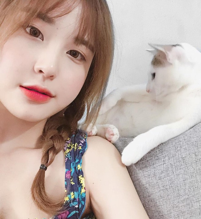 Bích Châu cho biết hai em mèo này vừa được cô bạn nhận nuôi ít ngày gần đây. Trước đó, cô đã từng nuôi một chú mèo khác nhưng được khoảng một năm thì bỏ đi mất.