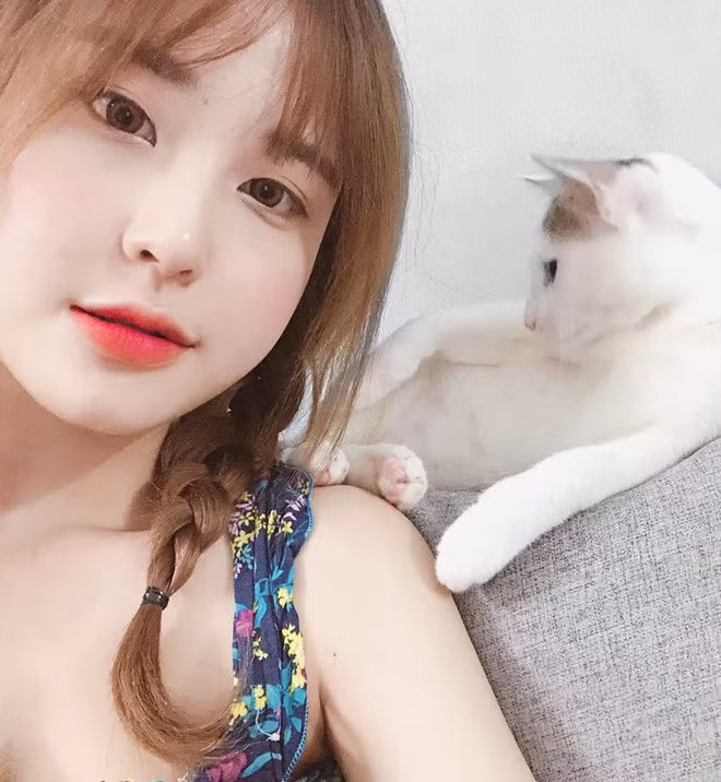 Bích Châu cho biết hai em mèo này vừa được cô bạn nhận nuôi ít ngày gần đây. Trước đó, cô đã từng nuôi một chú mèo khác nhưng được khoảng một năm thì bỏ đi mất.