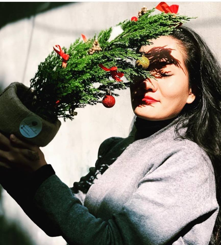 Ngoài Sơn Tùng thì họ Tùng còn rất nhiều loại khác như Tuyết Tùng, Tùng Thơm, Tiên Tùng với nhiều kích thước, kiểu dáng cũng là các lựa chọn để các bạn trẻ chọn để sống ảo mùa Giáng sinh năm nay.